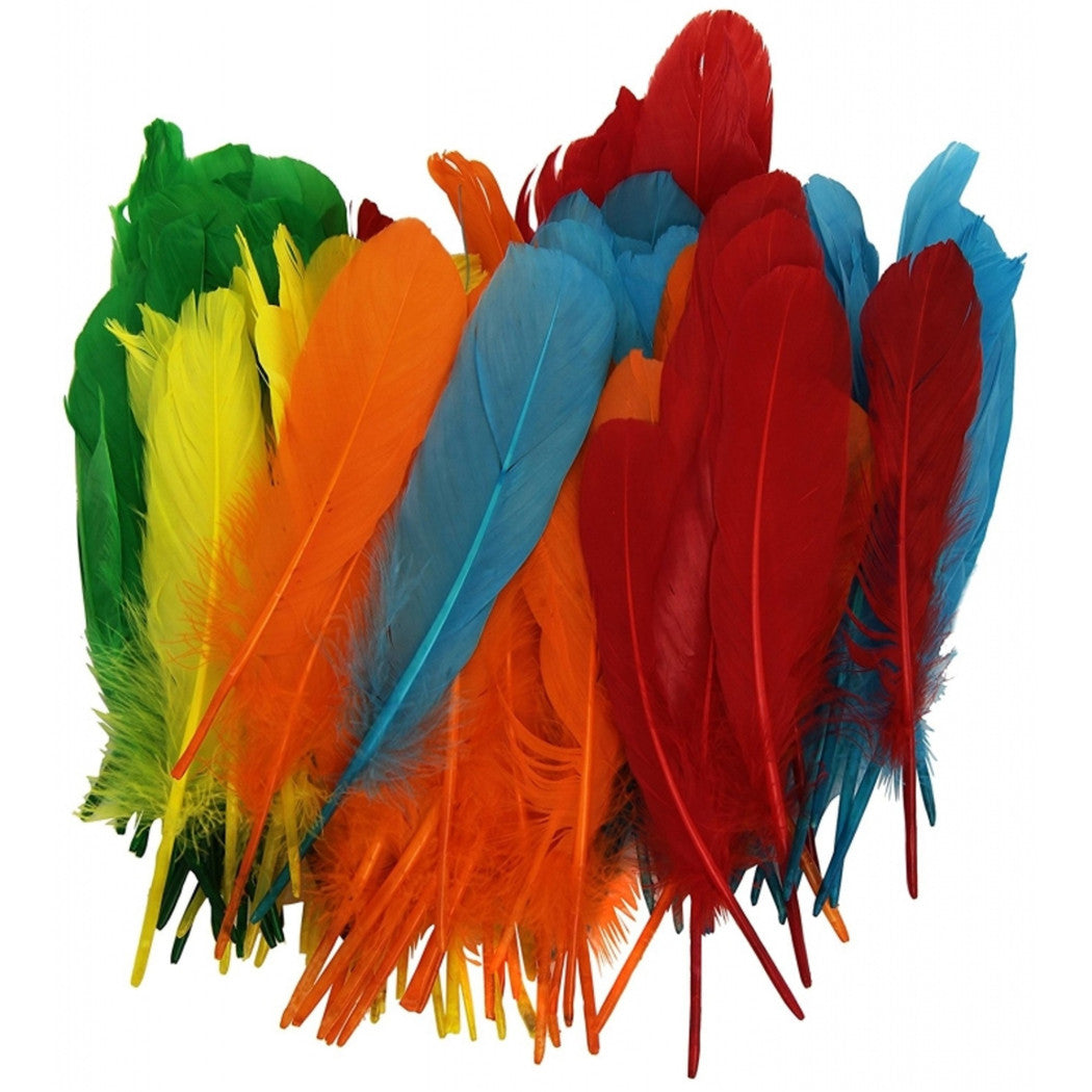 Coloridas plumas de ganso 24 pcs plumas plumas colores indios bolígrafos boda cm 12-20