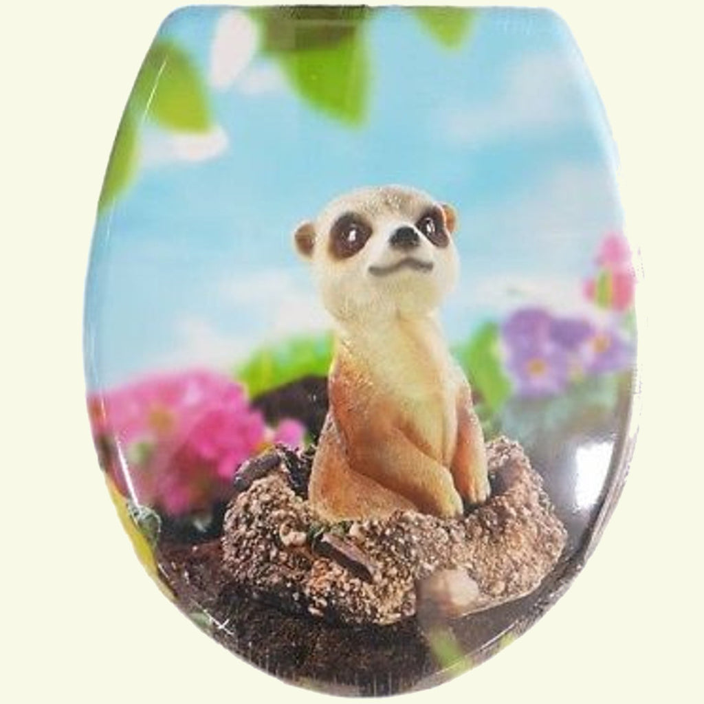 Cubiertas cubiertas de agua Asiento WC Baño Universal y bisagras Steel Lemure Look