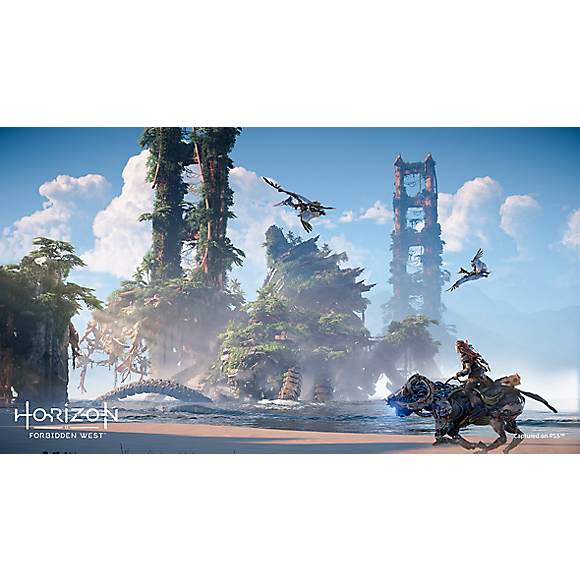 Horizon Forbidden West™ Collector's Edition - PS4 & PS5