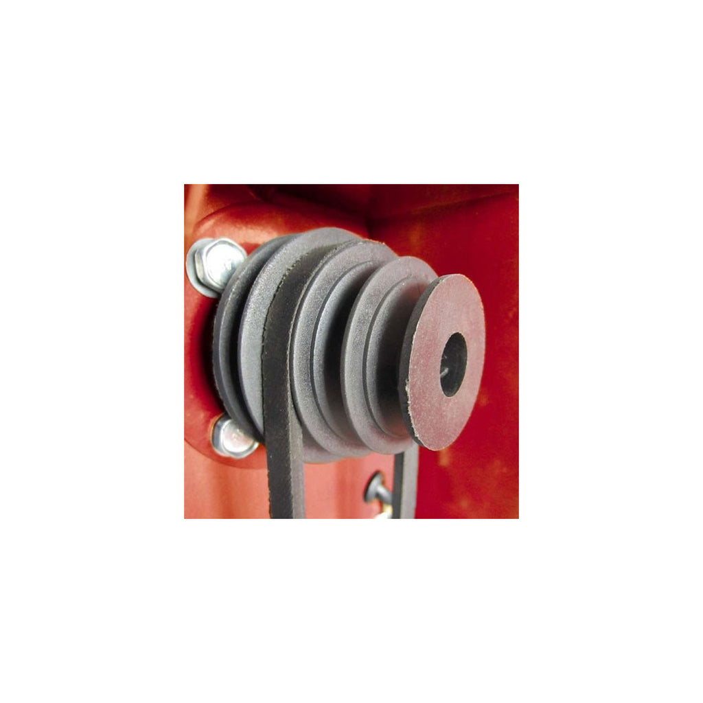 Motor de madera torrea Einhell TC-WW 1000 350 W N. 4 velocidad