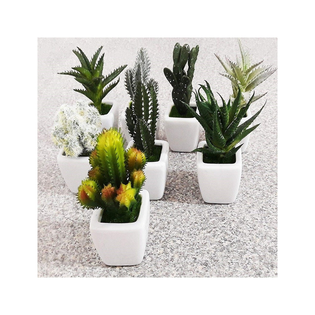 Patrón graso de semillero cuadrado Jarrón de cerámica 5x11cm Decoración de la oficina de boda