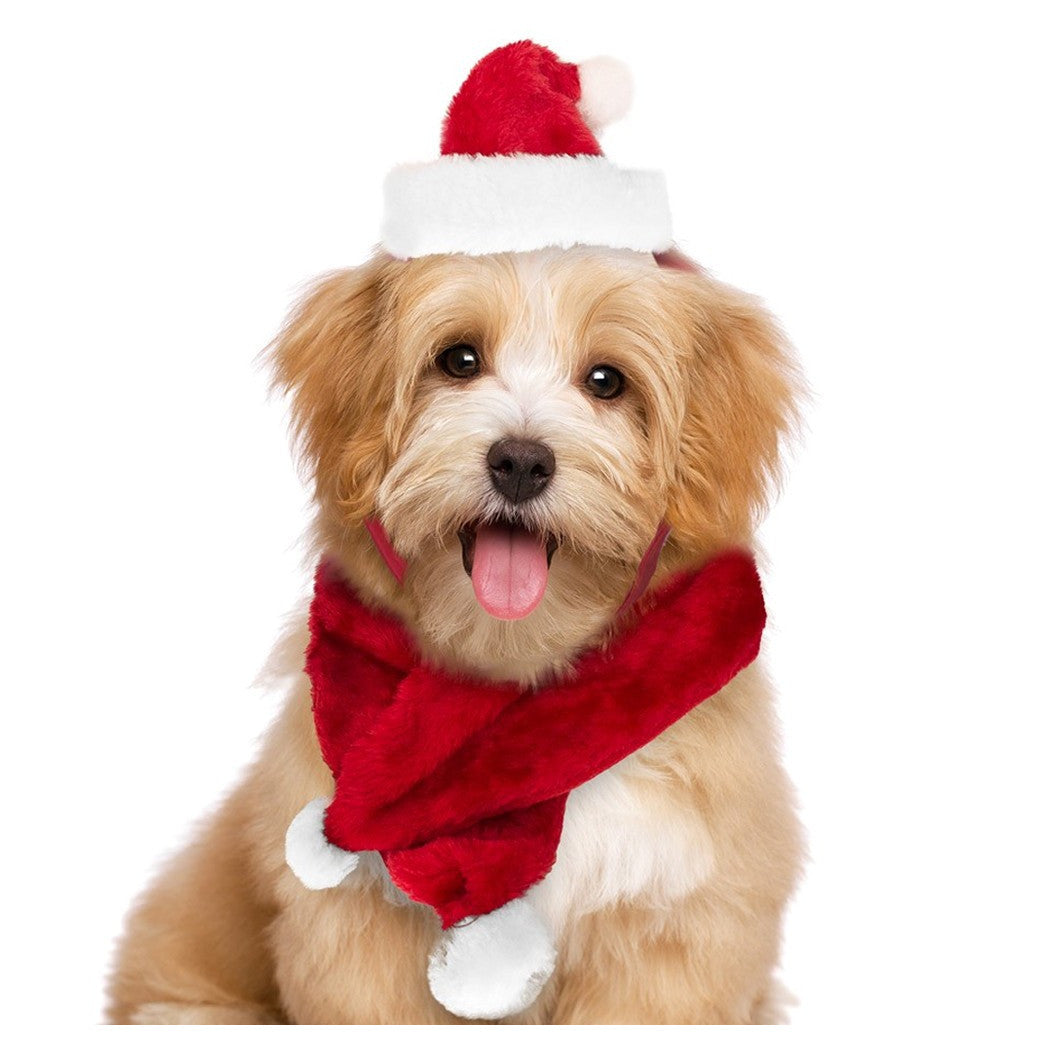 Set de bufanda Santa Claus Sombrero para perros Pequeños gatos rojos